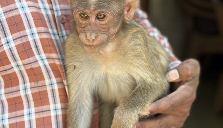 India vol.4 Karnala lindude looduskaitseala ja pügala